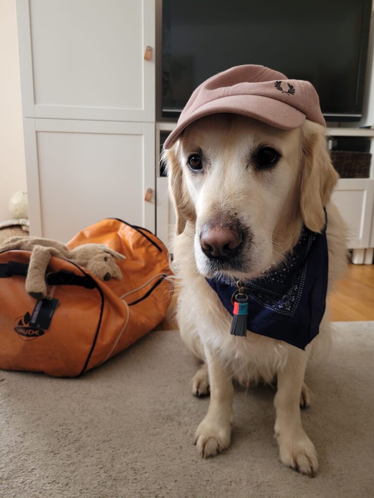 962817c9 5b66 483f a6f9 8e35cb8ef67f